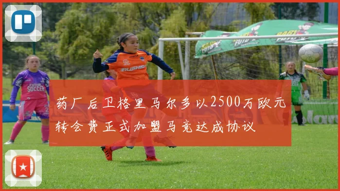 药厂后卫格里马尔多以2500万欧元转会费正式加盟马竞达成协议